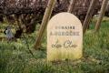 Wine Education: Champagne Deep Dive W/ A. Bergere