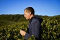 Wine Education: Champagne Deep Dive W/ Cedric Mousse