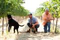 Wine Education: Washington Deep Dive W/ Matt Rawn