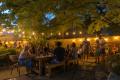 Bacchanal Patio Party