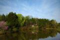 First Sunday Nature Hikes