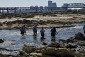 Devonian Dining and Outer Fossil Bed Hike