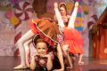Magic Inc. presents Nutcracker In A Nutshell