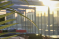 Sunrise Rooftop Yoga