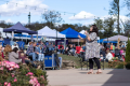 Fall Harvest Festival