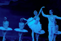 World Ballet Company: Swan Lake
