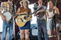 LouGrass Sessions: Song Sparrows