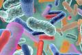 Mighty Microbes