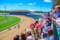 Go Baby Go! Race Day Experience