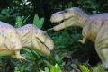 DINOPALOOZA