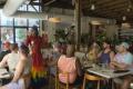 Love & Pride '25 Neon Fantasy Brunch