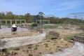 Edible Garden and Nursery Tour