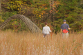 First Sunday Nature Hikes