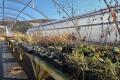 Winter Propagation: Cultivating Plants in the Cold Season