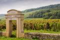 Wine Education: Burgundy - Roots of Terroir
