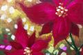 Paint and Sip: Poinsettia Jubilee