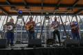 Roots Revue Festival