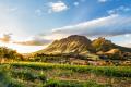 Wine Education: South Africa - Beyond the Cape
