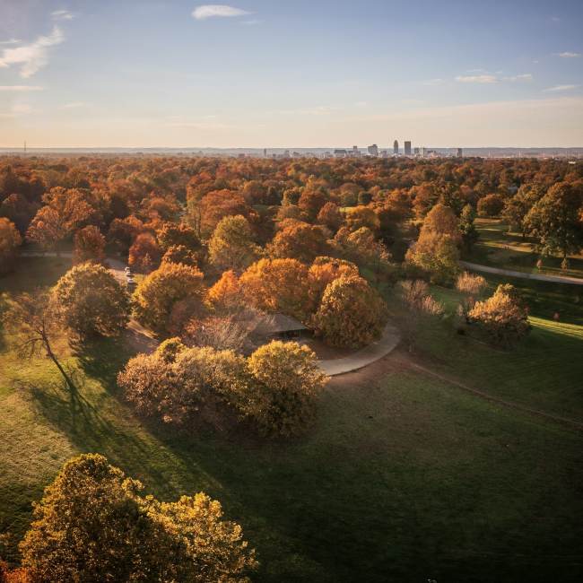 Louisville Rakes in the Fall Accolades Louisville Rakes in the Fall Accolades