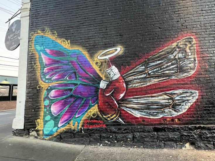 A Louisville mural of boxing gloves with butterfly wings on the left and bee wings on the right