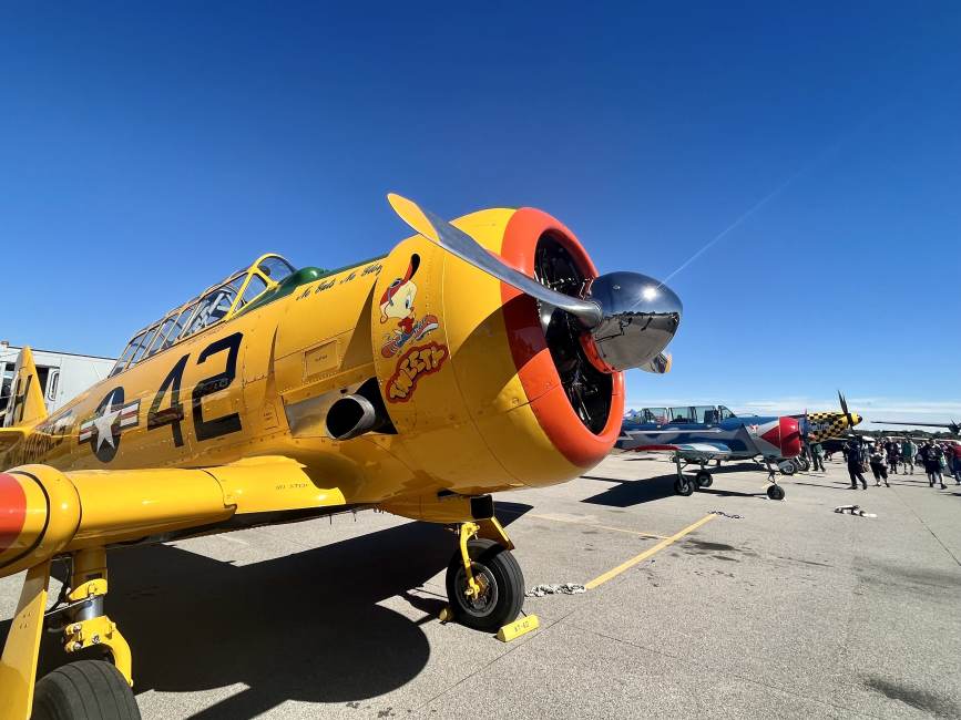 Historic Bowman Field’s Festival Celebrates Military Heritage