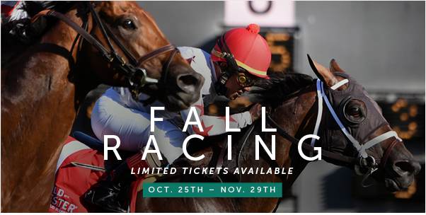 WELCOME BACK RACING FANS! WELCOME BACK RACING FANS!