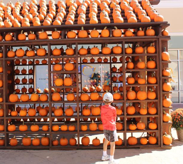 A young boy in an orange shirt stands before a wooden house decorated with pumpkins on every surface.