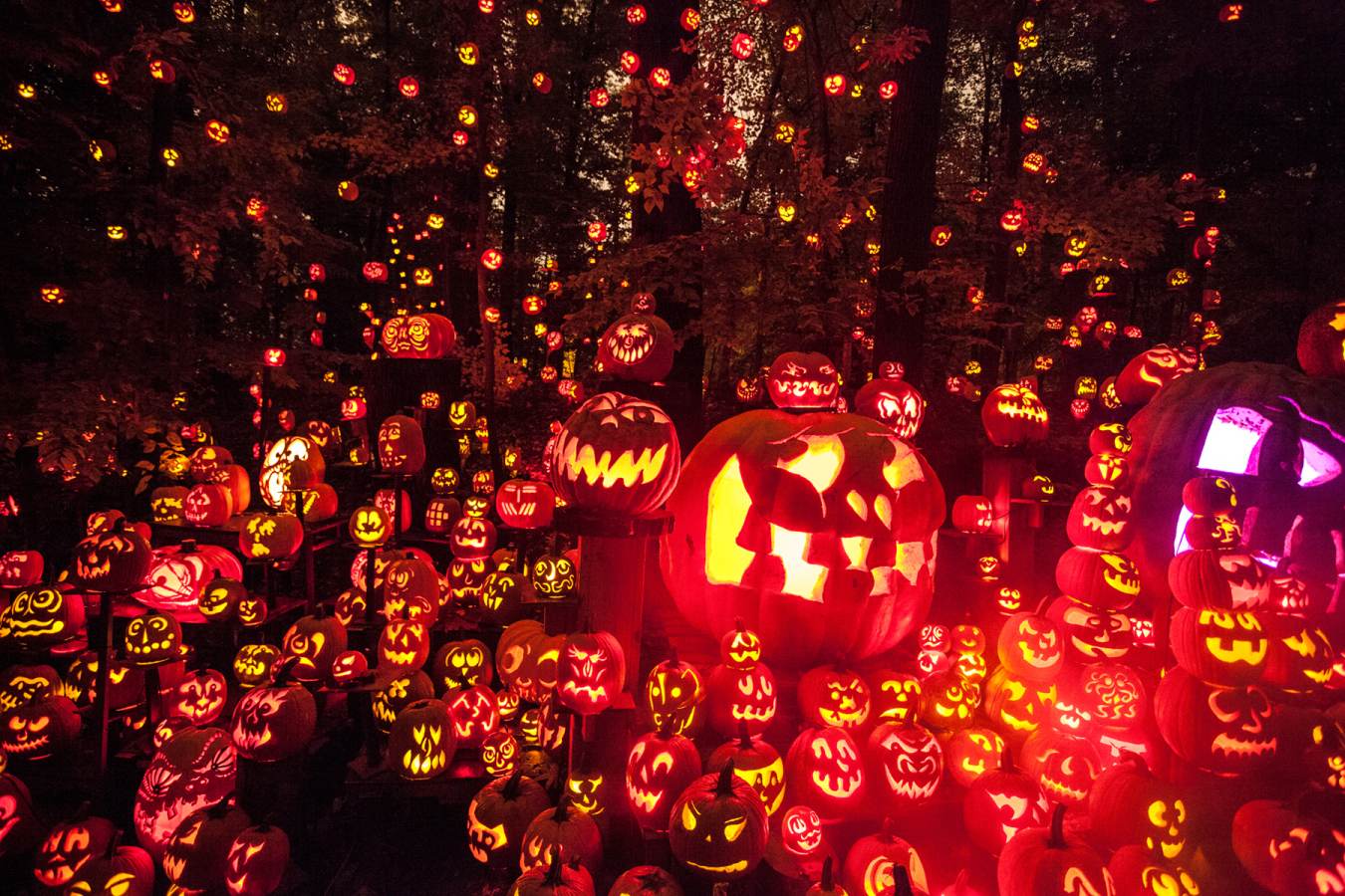 Louisville October Events Festivals, Haunts & More Official Travel Source