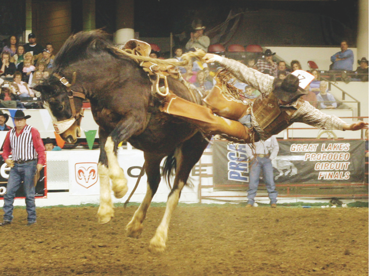 A cowboy rides a bucking horse during the North American Championship Rodeo as spectators watch from the stands.