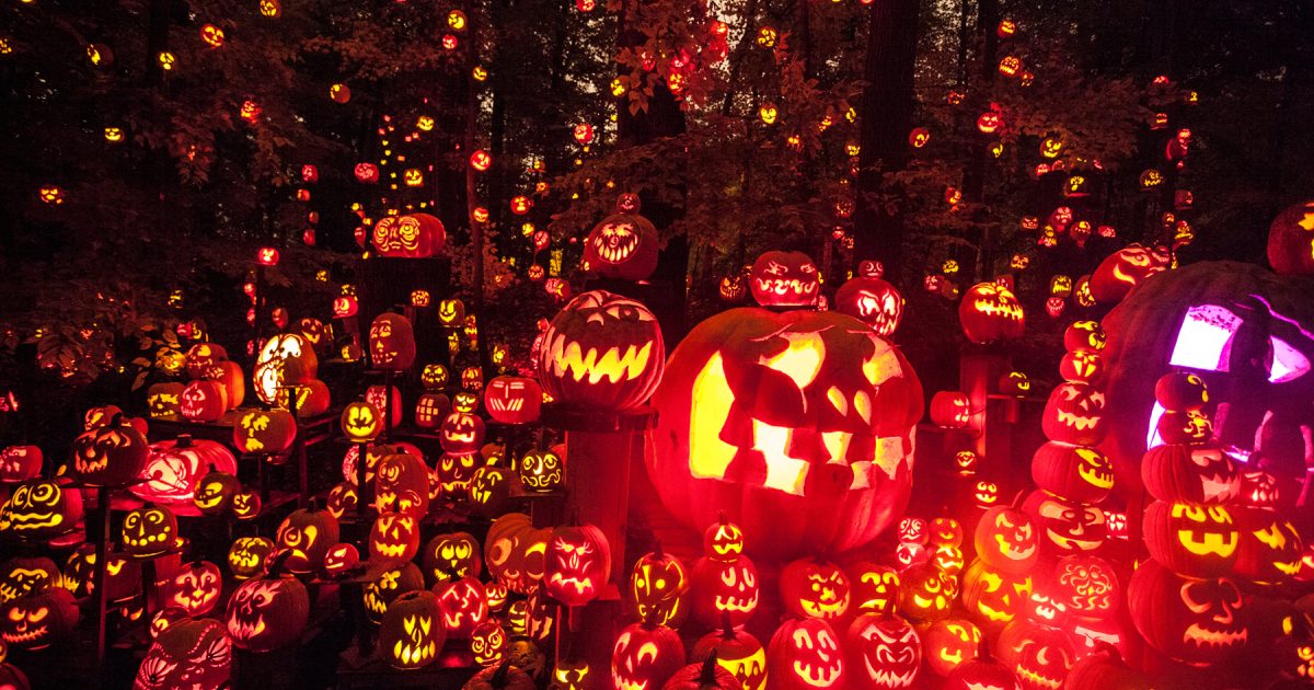 Jack O'Lantern Spectacular 5,000 Carved Pumpkins and more