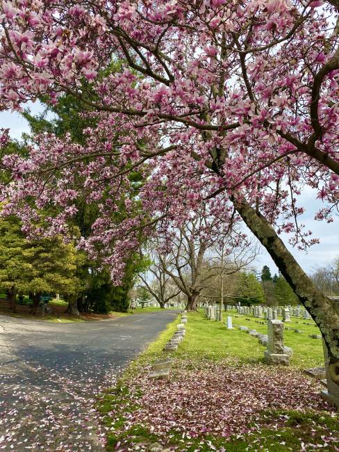 Branching Out With Louisville’s Outdoor Attractions Branching Out With Louisville’s Outdoor Attractions