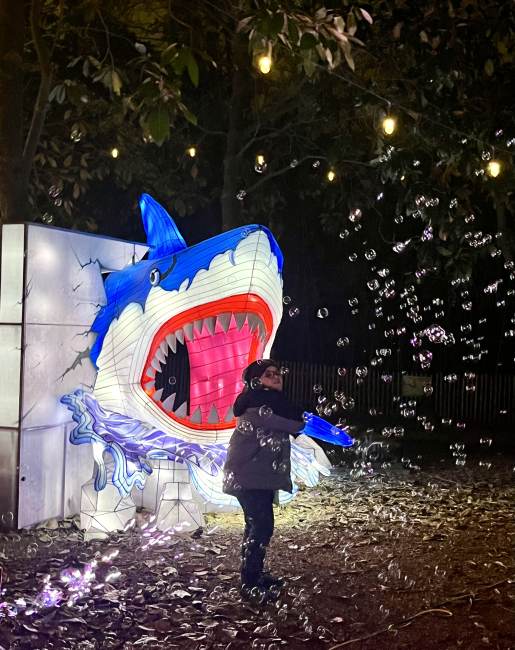 Extended! Louisville Zoo’s Nightly Wild Lights Takes Visitors Around the World