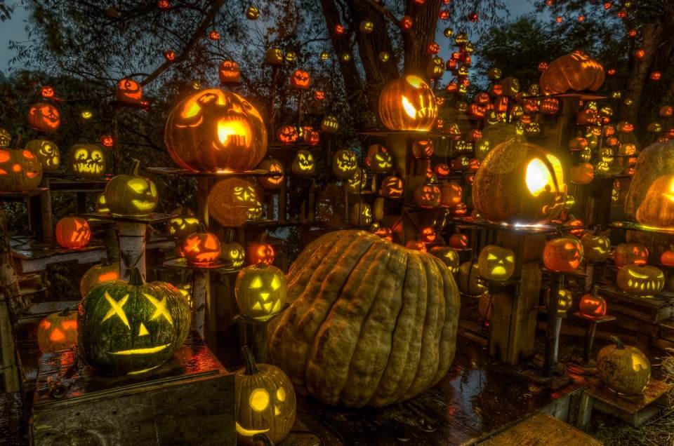 Jack O’Lantern Spectacular Returns as Walk-Thru Event Jack O’Lantern Spectacular Returns as Walk-Thru Event